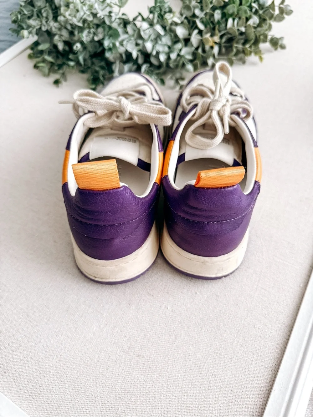 Steve Madden Everlie Purple & White Leather Sneakers | Women’s Size 6